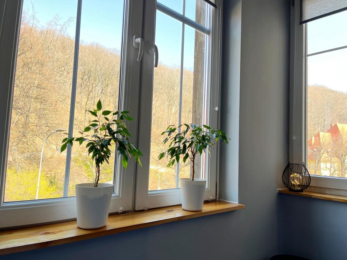 Noclegi Pod Muflonem Wałbrzych Exteriör bild